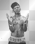 plies
