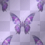'anoder buttertfly' by J&J