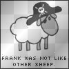 frank the pirate sheep