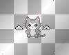 grey angel  kitten