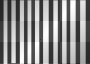 stripes