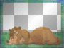 bears