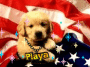 Puppy Playa