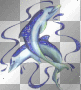 dolphins