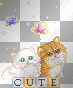 cute kitties