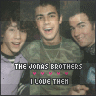 i love the jonas brothers
