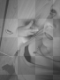mouaaa