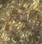 gold background