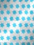 fashion stars