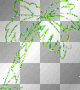 palm tree