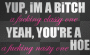 I'm a Biitch, Ur a Ho