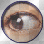 Eye Spy