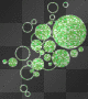 Green N' Bubbly