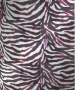 sexy zebra