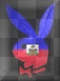 haitian playboy bunny