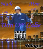 HOW IT DOSE
