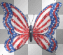 American Butterfly