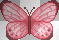 Cute Butterfly