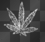 Bling Bud