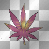 Pot leaf