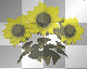 yellow flower