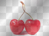 love cherries