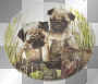pugs