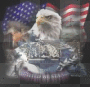 patriotic