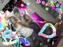 dada