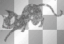 glitter cat