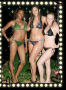 sharleen411