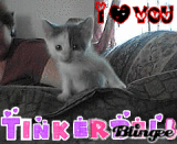 my kitty tinkerbell