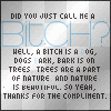 bitch