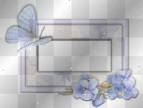 blue butterfly frame