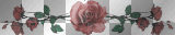 glitter rose divider