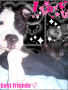 Rock && Midnight