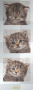 3 kittens smile
