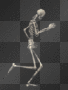 skeleton stroll