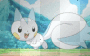 awww, ♥pachirisu♥