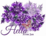 HELLO FROM JAN