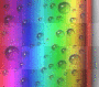 rain-bow