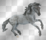 Wild Horse