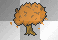 autumn tree