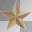 GOLD STAR