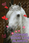 Horselvr73