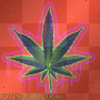 WEED