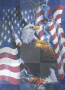 US Flag and American Eagle