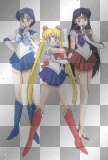 Sailor Scouts