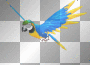 macaw