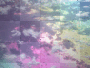 rainbow in clouds